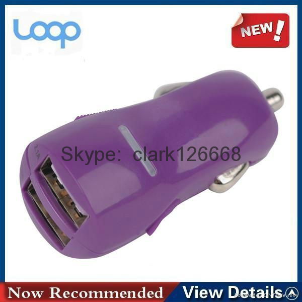 3.1A private mold dual port usb car charger