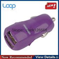 3.1A private mold dual port usb car