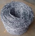 园林防护刺铁丝网