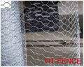 hexagonal wire mesh and chicken wire mesh 2