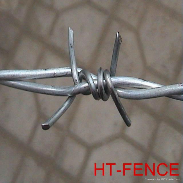 barbed wire 2