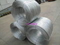 Galvanized wire 1