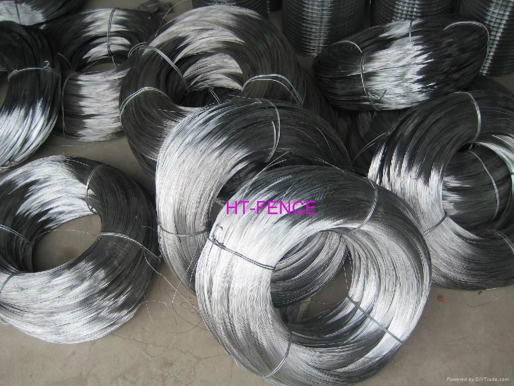 Galvanized wire 3