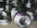 Galvanized wire 3