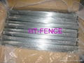 Galvanized wire 5