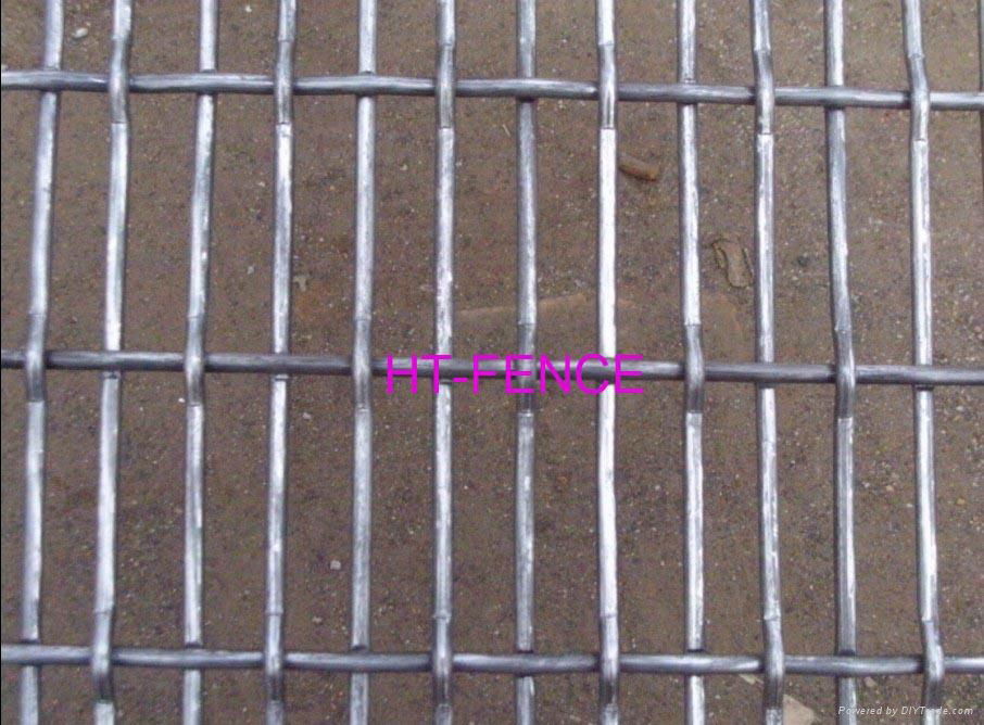 Crimped wire mesh 2