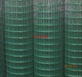 Rolled welded mesh 4
