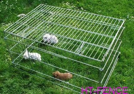 SS animal cage 2