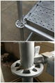 galvanized ringlock scaffolding standard