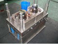 Plastic Injection Mould 1