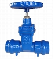 socket end resilient seated gate valve