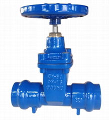 socket end resilient seated gate valve 