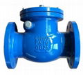 Swing check valve 