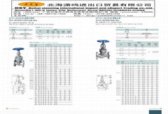 Parallel Double disc gate valve