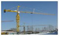 Shandong Mingwei QTZ125 TC6515---10t Tower Crane 1