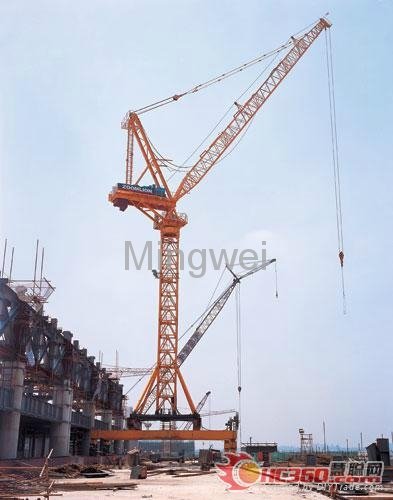 China Shandong Mingwei Tower Crane QTZ60(5010 3
