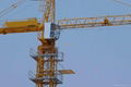  China supplier  tower crane QTZ31.5 (4207)-3t 2