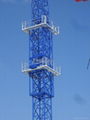  China supplier  tower crane QTZ31.5 (4207)-3t 3