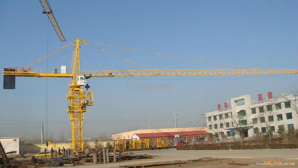  China supplier  tower crane QTZ31.5 (4207)-3t 4