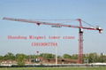 China Shandong Mingwei Tower Crane QTZ60(5010