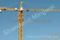  China supplier  tower crane QTZ31.5 (4207)-3t 1