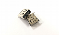 Reversible USB 2.0 A/F Receptacle Vertical Type 1