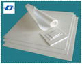 PTFE TEFLON skived sheet 2