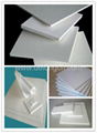 PTFE TEFLON skived sheet 3