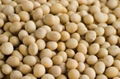 soybeans  1