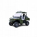 UTV 800cc 4x4 Gasoline CVT for sale 1