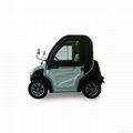 Electric golf cart 2 seat enclosed golf