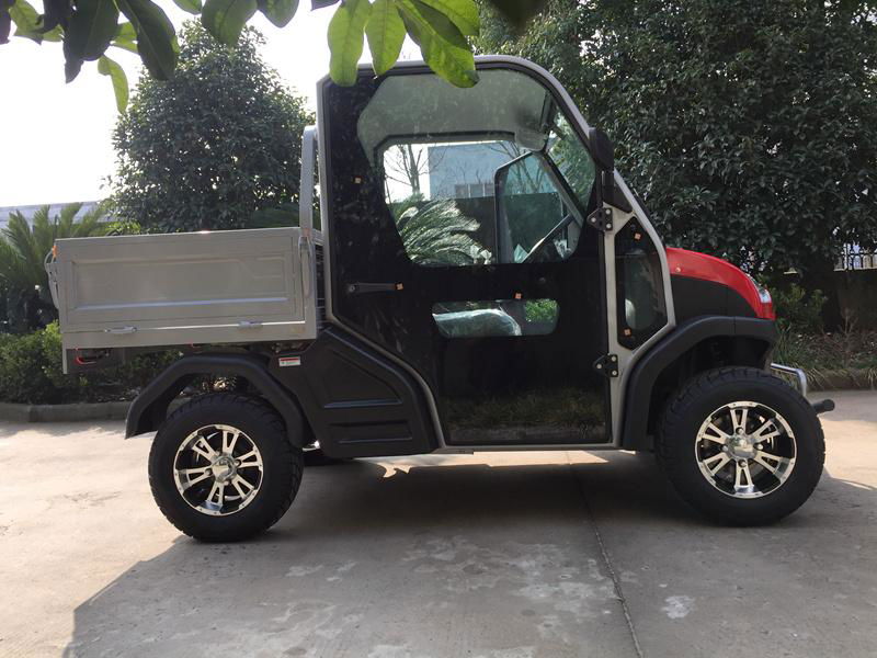 2 seater electric golf cart with cargo box made in china