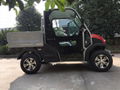 2 seater electric golf cart with cargo