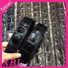 XBL Luxury Genuine crocodile leather belt for man and women