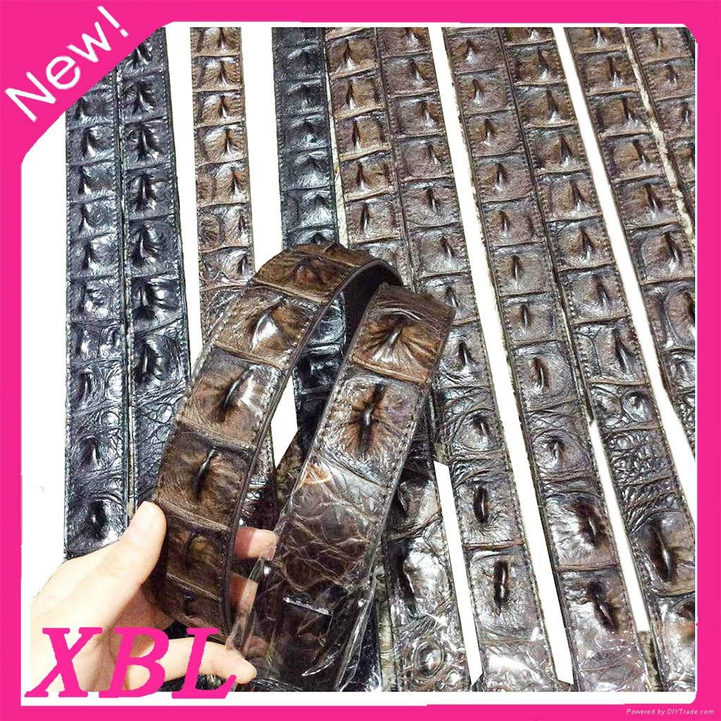 XBL Luxury Genuine crocodile leather belt for man and women 5