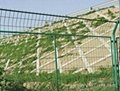 湖南鐵絲護欄網隔離柵