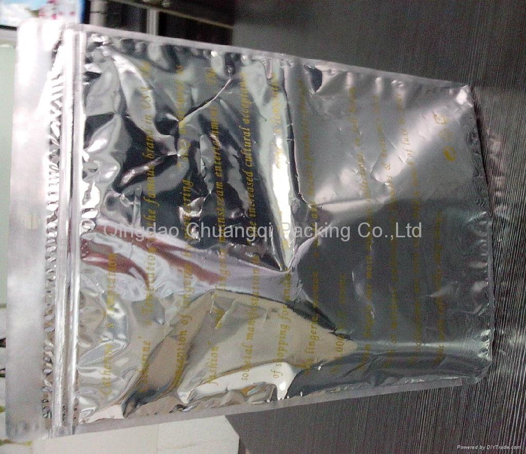 Plastic File & Stationery bag 
