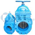 Gate Valve