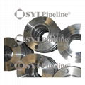 carbon steel flange 2