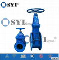 Gate Valve 4