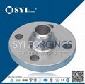 carbon steel flange 4