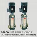 CDLF-16不锈钢多级离心泵