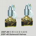 DSF-40 Solenoid valve 1