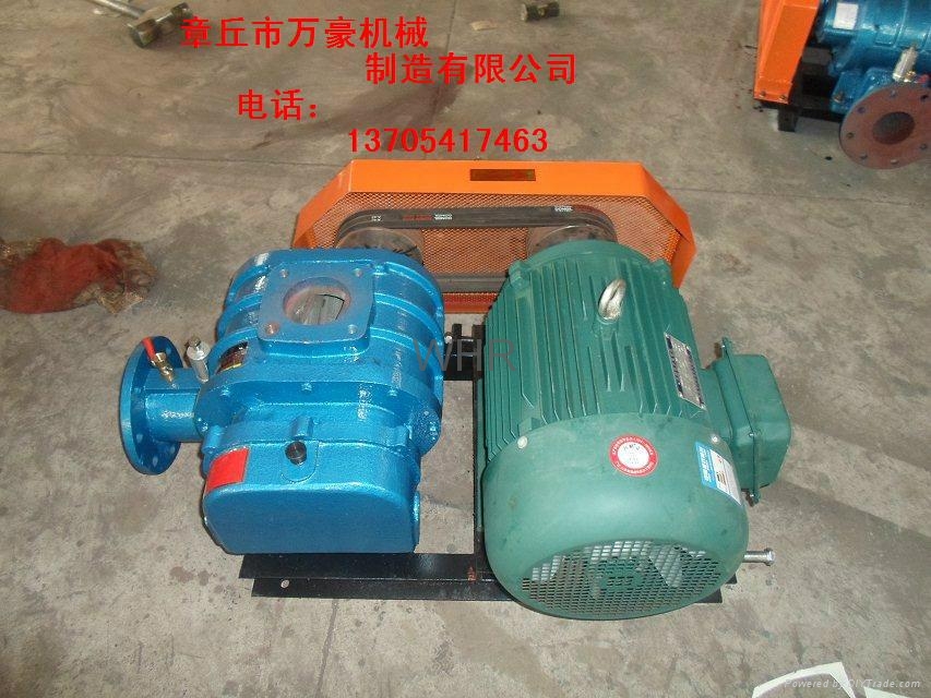 工業廢氣廢水處理羅茨風機 5