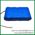 6V 1.5AH lifepo4 battery solar lamp battery