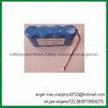 36v 24ah lifepo4 battery for ups storage system