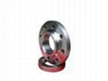 MF FLG，raised flange 5
