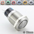 LED Pushbutton Switch 19mm  Stainless