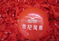 西安廣告氣球 5