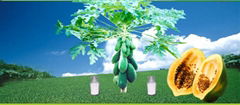 Guangxi Nanning Javely Biological Products Co.,Ltd.